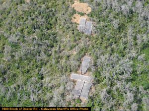 Doster Road Marijuana Bust