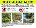 Algal Bloom Detected In Merced River
