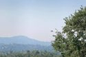 Two Fires Creating Smoke In The Mother Lode