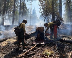 Carlon Fire In Stanislaus National Forest