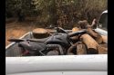 Suspected Thief Caught Using Stolen Trailer To Grab More Loot