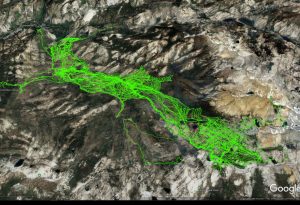 Map with green lines representing individual searchers, teams, and helicopters