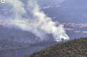 Vegetation Fire In Mountain Ranch Area