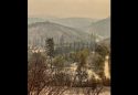 Washington Fire Impacts And Recovery Efforts