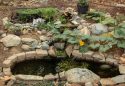 Resolutions From A Gardener
