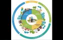 Tuolumne County’s Blue Zones Project Launched