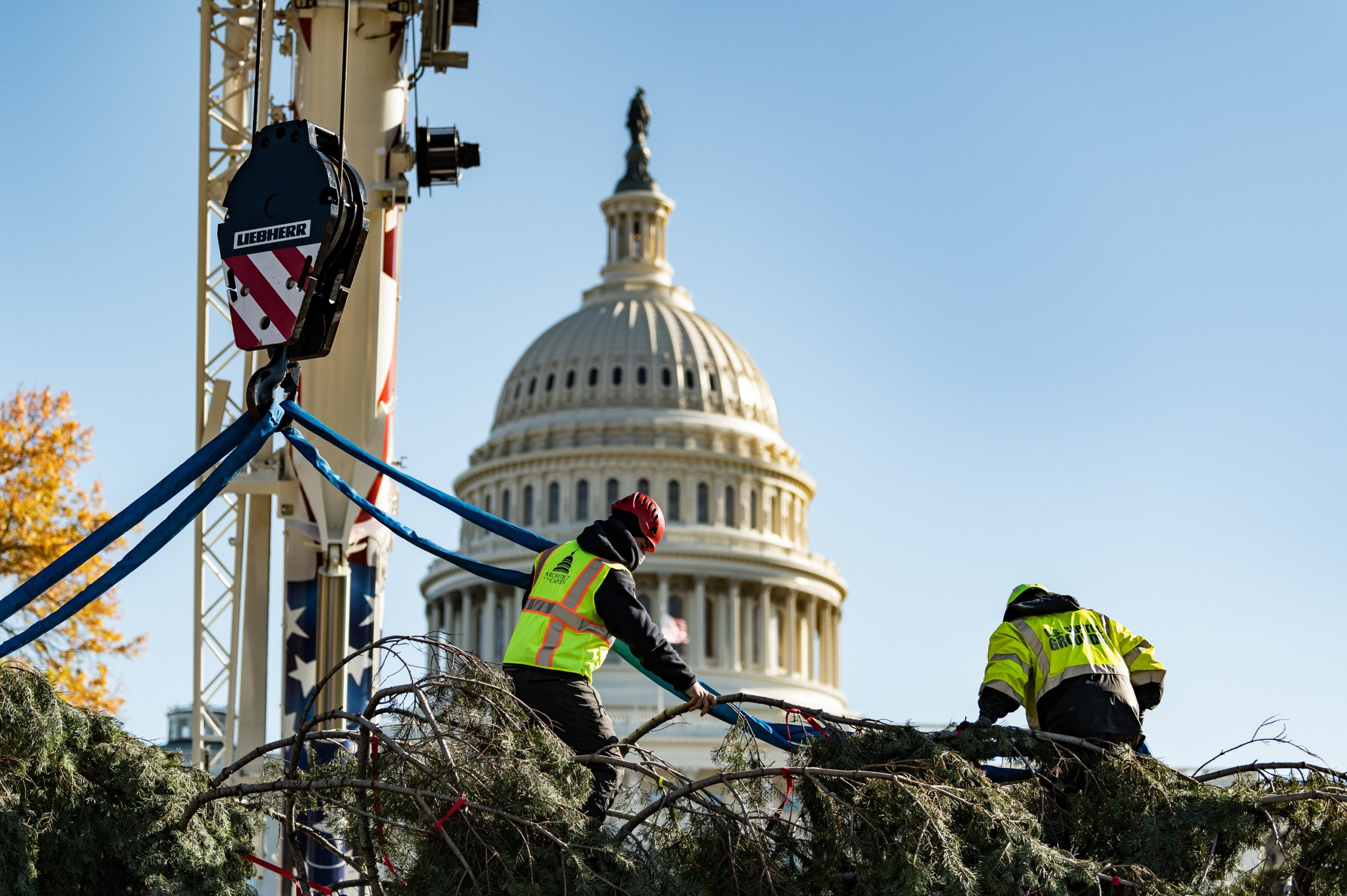 Capitol Christmas Tree Arrives in Washington D.C.