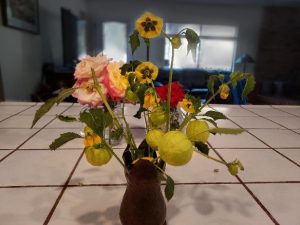 Experimental Gardening | myMotherLode.com 1 Nancy Bliss pic