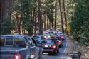 Yosemite Expects Plenty Of Visitors This Holiday Weekend