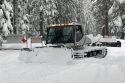 Winter Wonderland Turned Playground