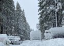 Cold Nights Forecast Through Friday