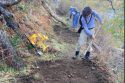 Repairing The Rim Fire Damaged Trails, A Gift To The Forest