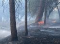 Columbia College Closed Due To Weekend Fire