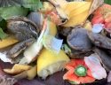 Tuolumne County Receives Five Year Exemption On Food Recycling Law Tuolumne County Receives Five Year Exemption On Food Recycling Law