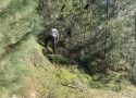 Human Remains Located Near Longeway Road