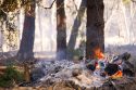 Favorable Conditions Allowing Continued Burning in Yosemite Favorable Conditions Allowing Continued Burning in Yosemite