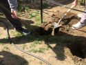 Four Components Make Soil Tasty Or Toxic To Plants