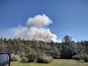 Full Containment Reached On 67-Acre Pines Fire