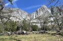 Pile Burning In Yosemite