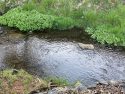 Late Season Precipitation Helping During Dry Year Late Season Precipitation Helping During Dry Year