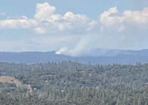 Calaveras Big Trees Prescribed Burn - Photo by Larry England