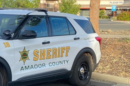 Grinch Caught Trying To Steal From Amador County Box Store - Vimarsana News