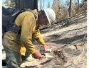 BAER Team Begins Assessing Washburn Fire’s Impacts