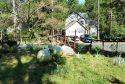 Garden with Patience