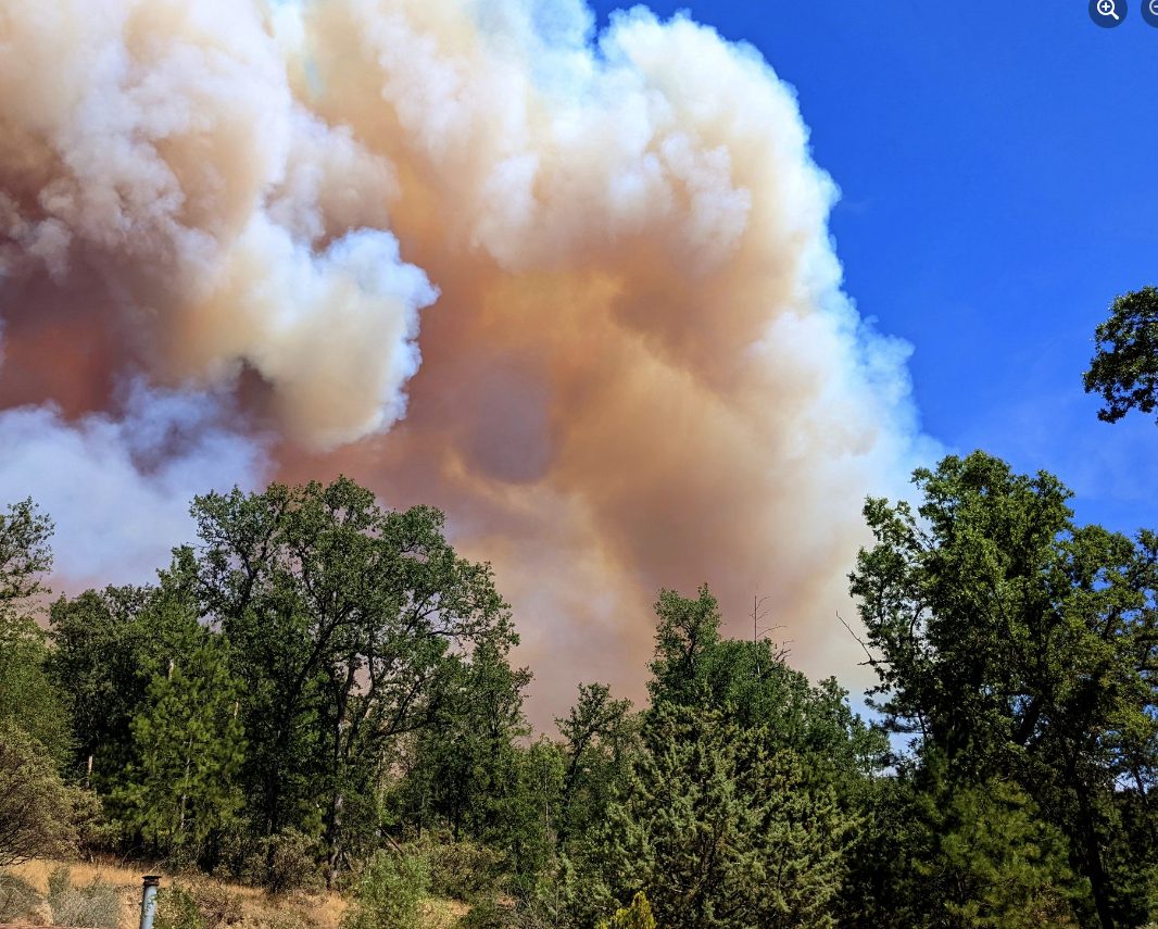 Update: More Damage Reported From Oak Fire As Teams Assess Impacts - Vimarsana News