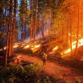 More Washburn Fire-Affected Areas Have Reopened