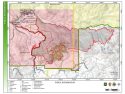 Washburn Fire Moves Into Sierra National Forest Washburn Fire Moves Into Sierra National Forest