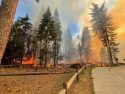 Wildfire In Yosemite Closes Mariposa Grove
