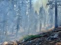 Update On Yosemite Lightning Caused Fires