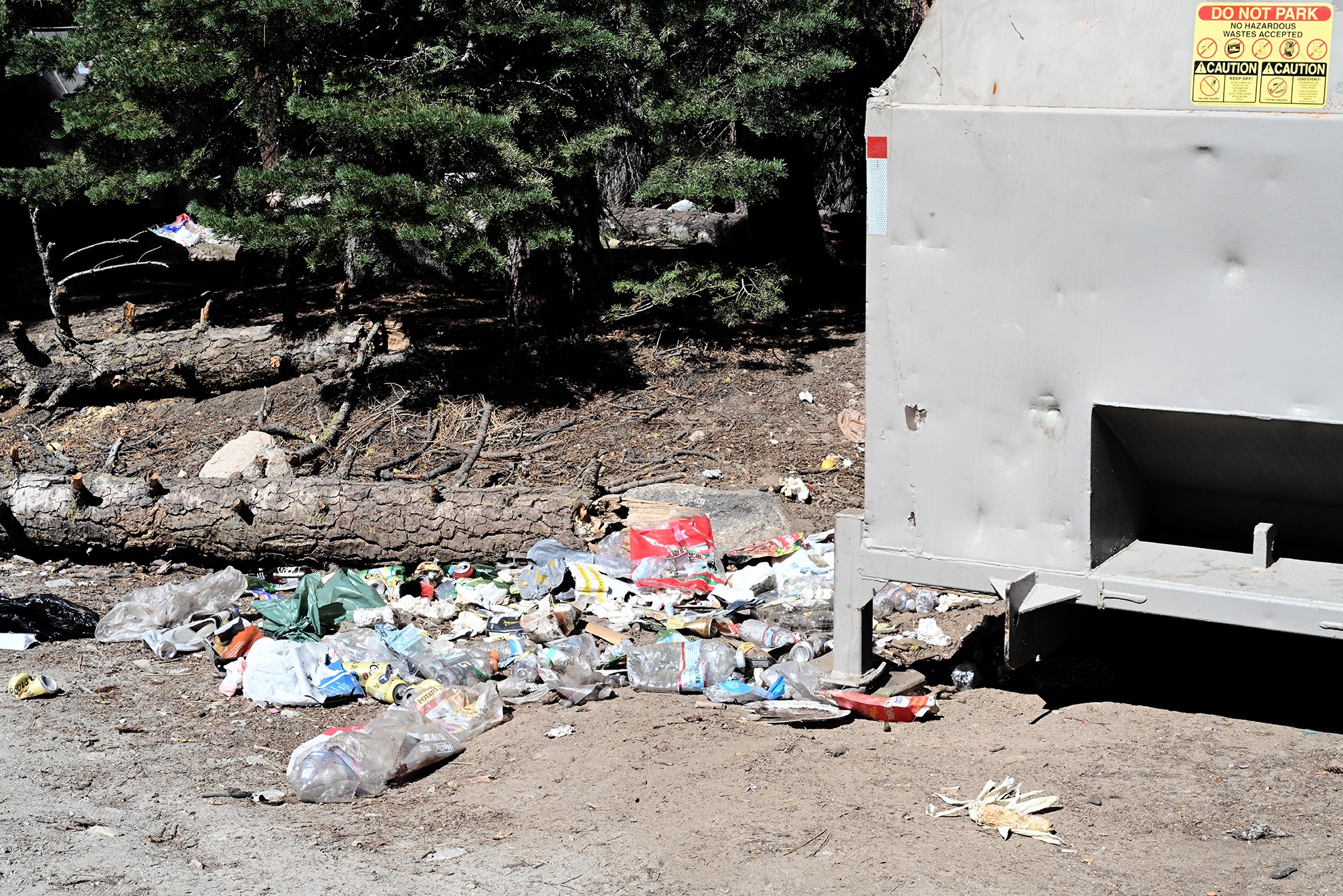 Large Trash Pile Found In Forest Campground 