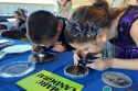Annual Dinner With A Scientist Breaks Record