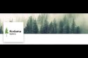 21st-Century Forest Thinning