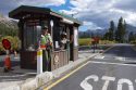Yosemite Peak-Hour Reservations Ending