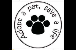 Tuolumne County Animal Control
