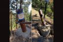 Vandals Hit Gate Closure On Forest