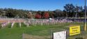 Veterans Day Events