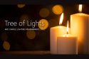 Tree Lighting To Remember Lost Loved Ones