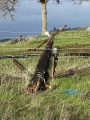 Stormy Weather Causing Traffic Hazards In Mother Lode