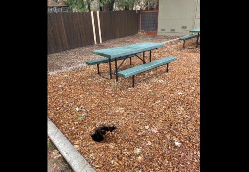 Sinkhole Prompts Twain Harte s Eproson Park Closure MyMotherLode