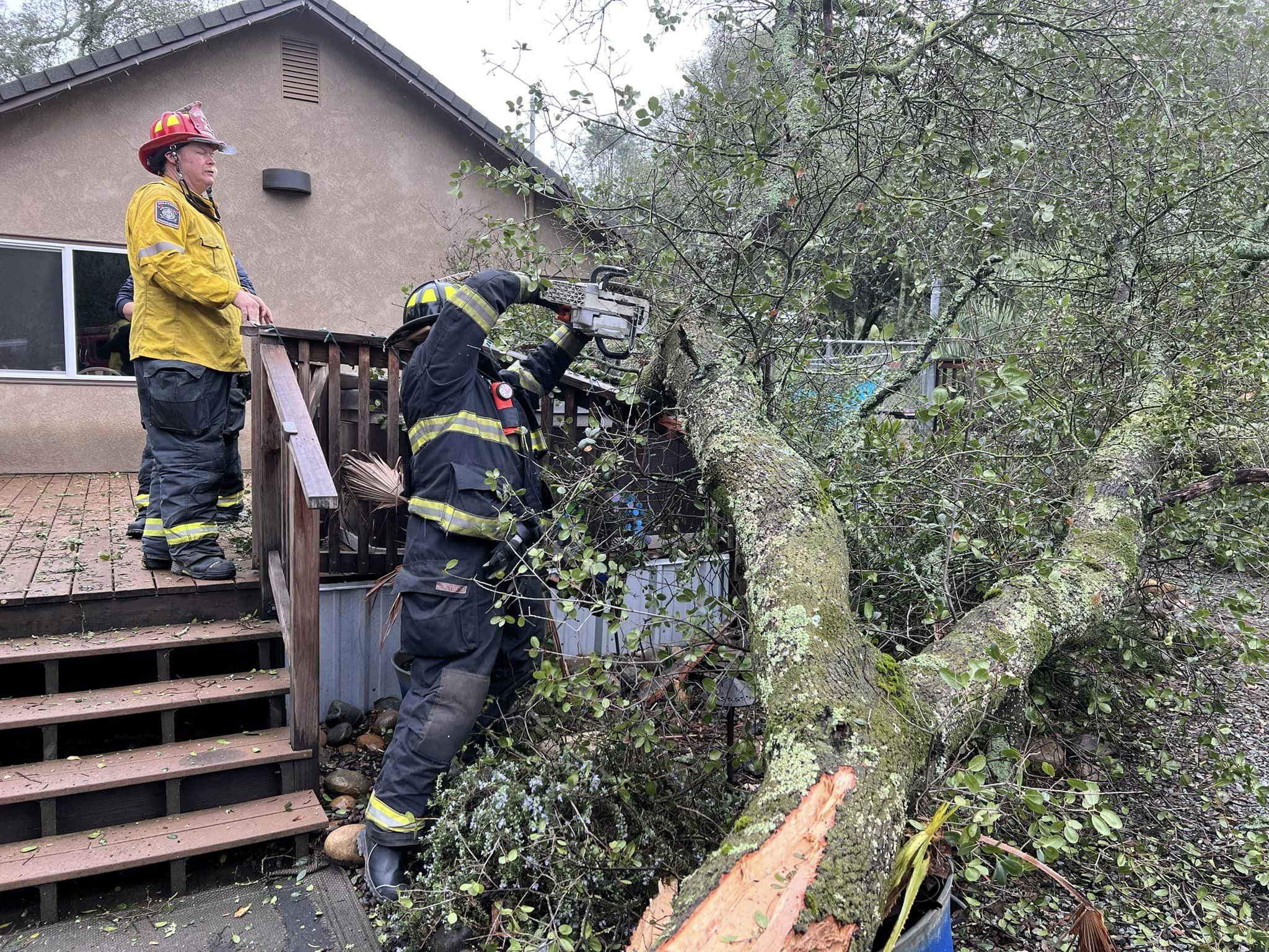 Tree down on home near Lake Camanche on Steadman Lane