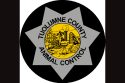 Dog That Mauled Jamestown Man Caught