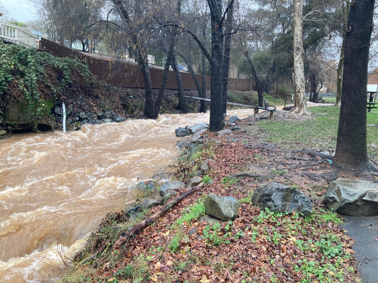 Water along Woods Creek In Sonora (1/9/23 at 11:30am)