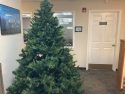 Tis the Season to TreeCycle