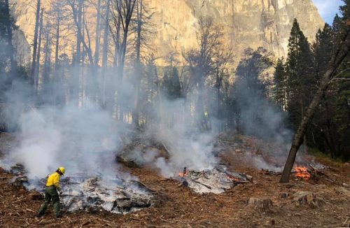More Pile Burning In Yosemite - Vimarsana News