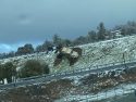 Snowy And Icy Roads Create Traffic Hazards
