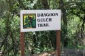 Dragoon Gulch Trail logo